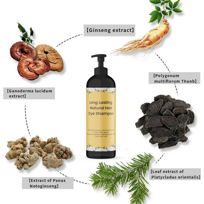 Natural Black Hair Dye Shampoo – Long Lasting Color (100ml × 2 Pack)